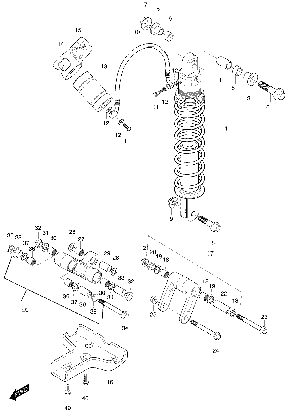 Federbein hinten