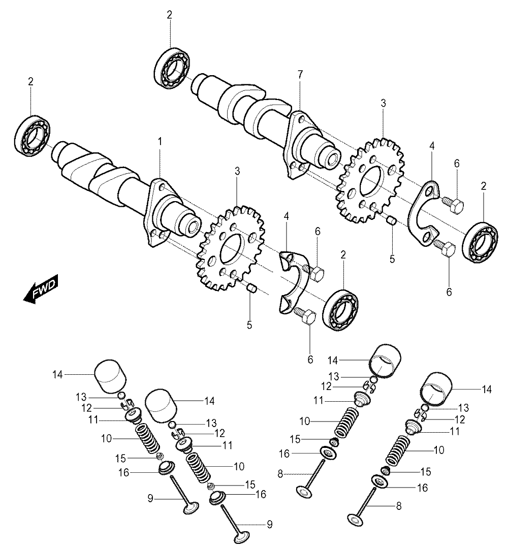 Nockenwellen / Ventiltrieb vorne