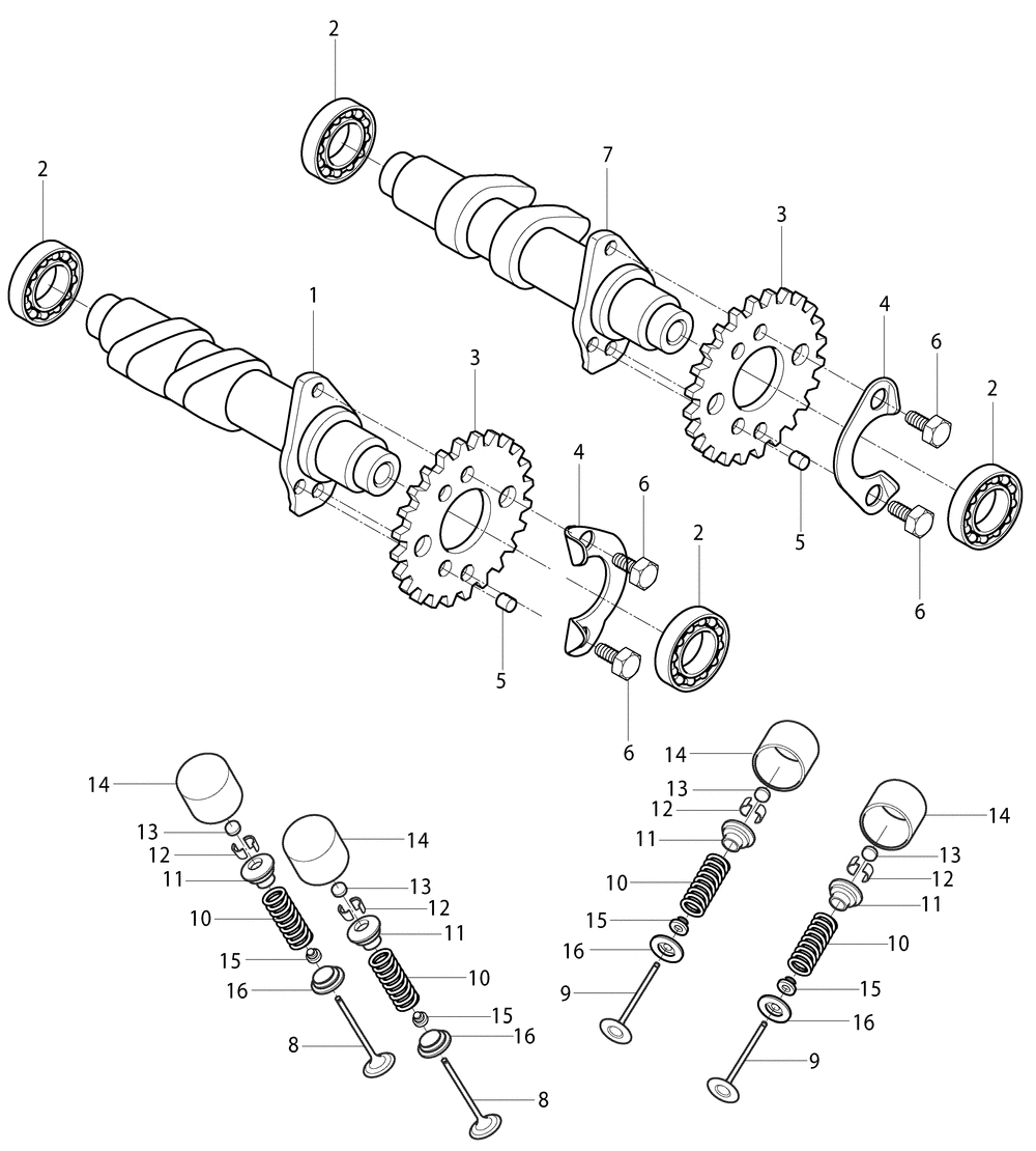 Nockenwellen & Ventiltrieb