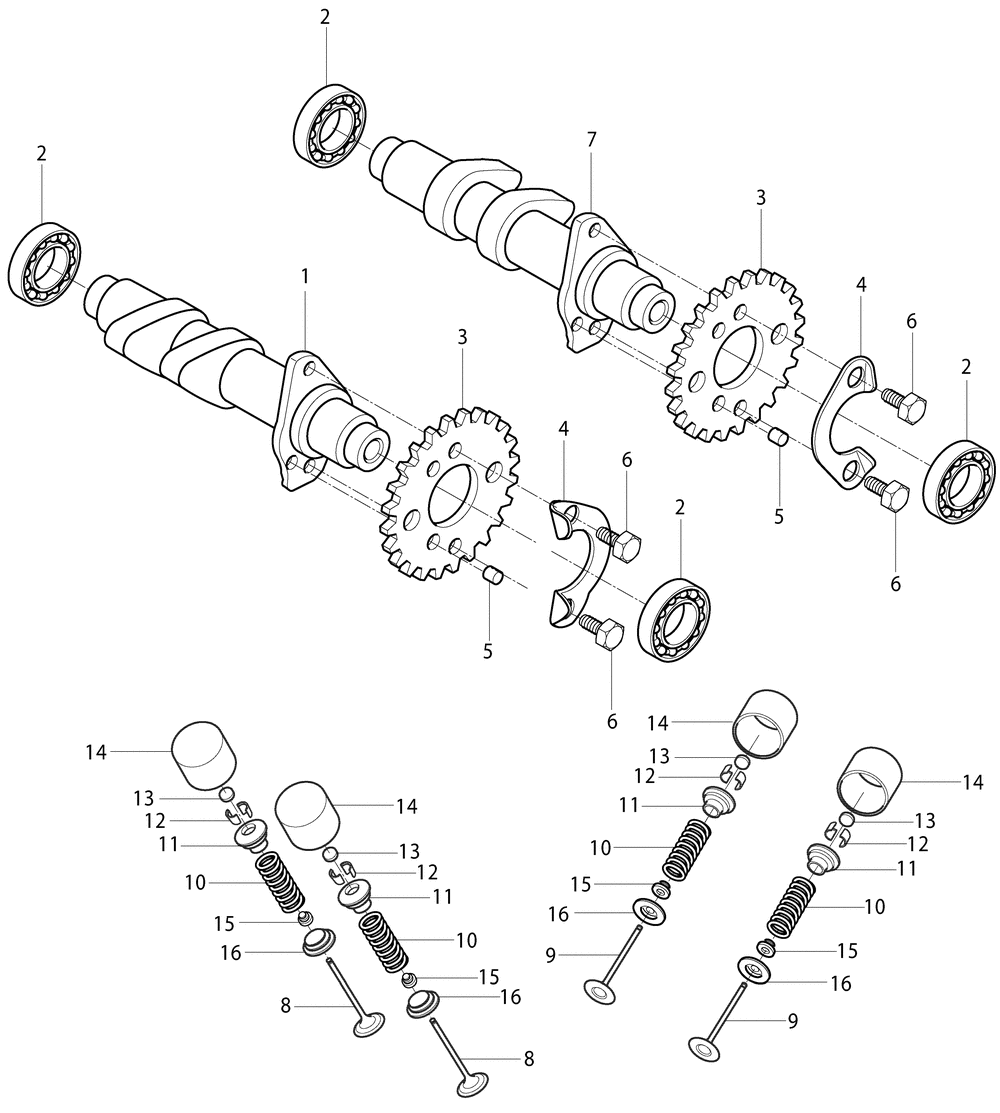 Nockenwellen & Ventiltrieb