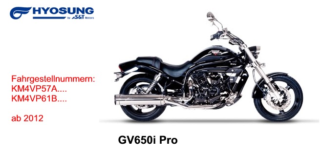 GV 650i P ( FI Delphi )