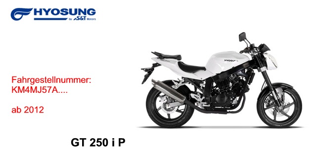 GT 250i P 2012 (FI Delphi)